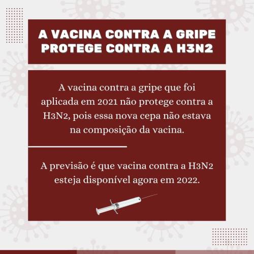 Informações acerca da gripe H3N2!