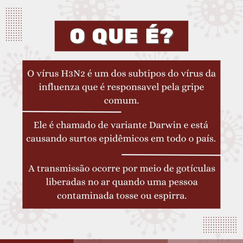 Informações acerca da gripe H3N2!