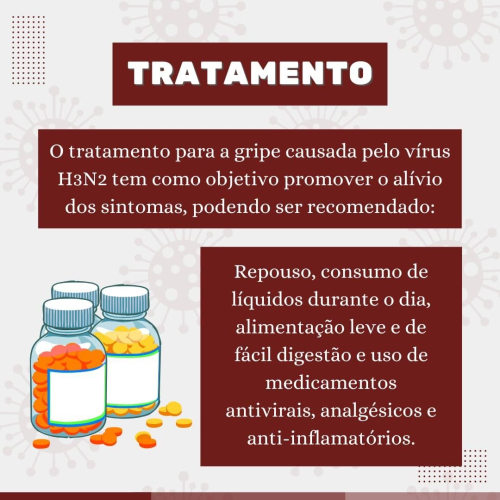 Informações acerca da gripe H3N2!