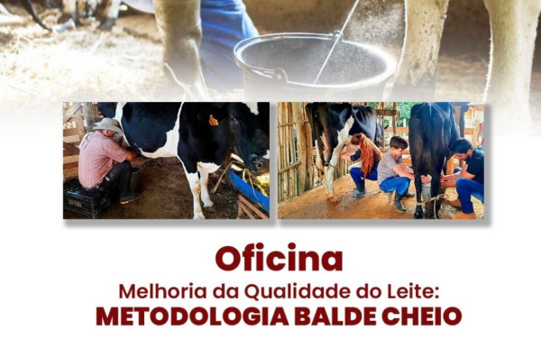OFICINA MELHORIA DA QUALIDADE DO LEITE: METODOLOGIA BALDE CHEIO.