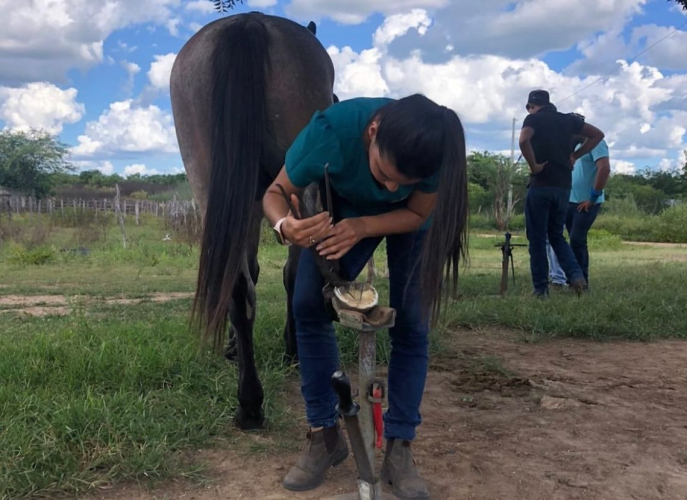 CAPACITAÇÃO E QUALIFICAÇÃO AOS NOSSOS PRODUTORES RURAIS
