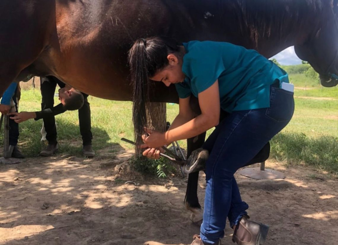 CAPACITAÇÃO E QUALIFICAÇÃO AOS NOSSOS PRODUTORES RURAIS