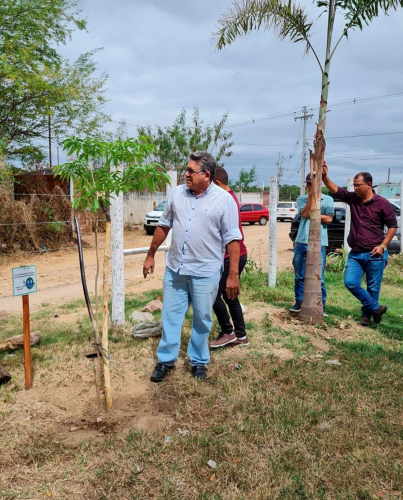 GRANITO INAUGURA VIVEIRO PARA DOAÇÃO DE MUDAS DE ARVORES NATIVAS!