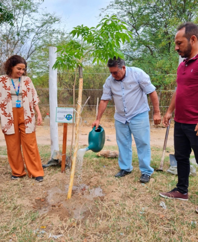 GRANITO INAUGURA VIVEIRO PARA DOAÇÃO DE MUDAS DE ARVORES NATIVAS!