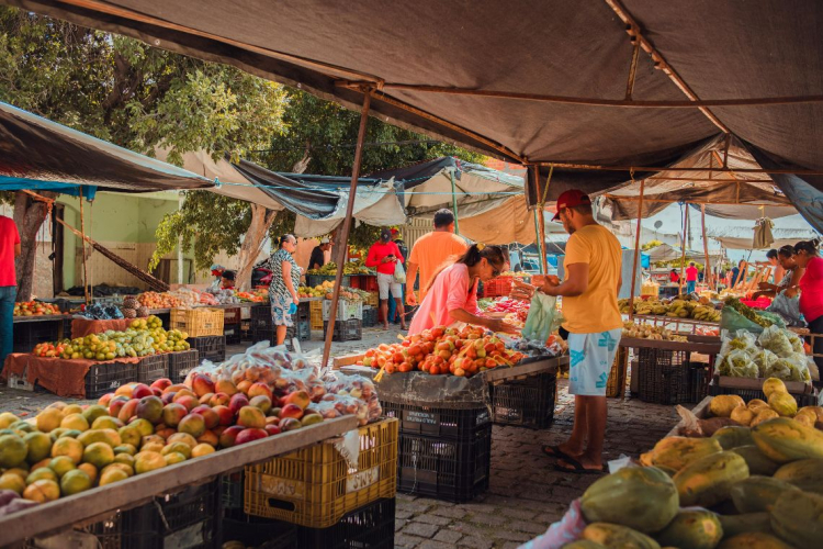 Feira Livre de Granito: Tradição e Qualidade Toda Semana na Praça da Igreja
