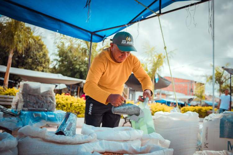 Feira Livre de Granito: Tradição e Qualidade Toda Semana na Praça da Igreja
